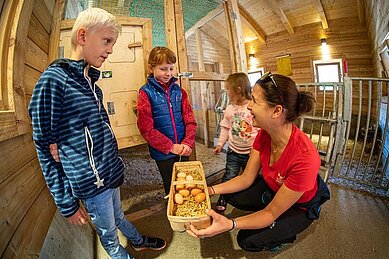 Kinder sammeln Eier im Hühnerstall des Familienhotels Oberkarteis.