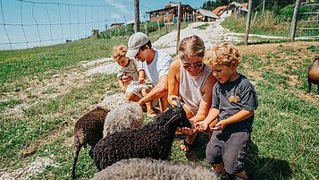 Eltern streicheln zusammen mit ihren beiden Kindern die Schafe auf dem Außengelände vom Familien Petschnighof Resort