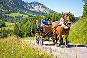 Eine Familie auf Kutschfahrt durch die wunderschöne Allgäuer Landschaft beim Urlaub im Familienhotel Spa- & Familien-Resort Krone.