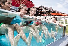 Einige Kinder im Aussenpool des Familienhotels Allgäuer Berghof im Allgäu..