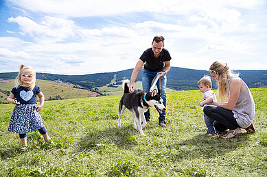 Familie spielt in der Wiese mit Kindern und Hund im Familienhotel Elldus Resort.