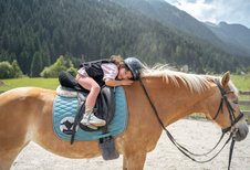 Kind liegt entspannt auf einem Haflinger im Familienhotel Kindl.