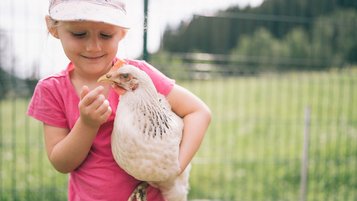 Mädchen hält ein Huhn im Streichelzoo des Familienhotels Der Kirchheimerhof in Kärnten und erlebt tierischen Spaß auf dem Bauernhof.