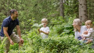 Eltern mit zwei Kindern unterwegs im Wald, zwischen Farnen und Blättern