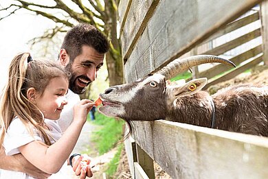 Ein Kind füttert unter Aufsicht des Vaters eine Ziege mit einer Karotte.