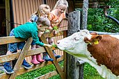 Drei Kinder lehnen am Zaun und streicheln eine Kuh auf dem Hotelgelände des Familienhotels Alpengasthof Hochegger