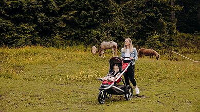 Eine Mama geht mit ihrem Kind und mit dem Kinderwagen in den Bergen spazieren.