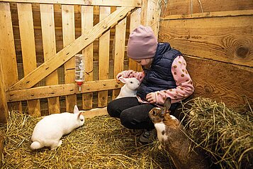 Mädchen streichelt zwei Hasen im Kleintierbereich des Familienhotels Alpenhotel Kindl in Tirol.