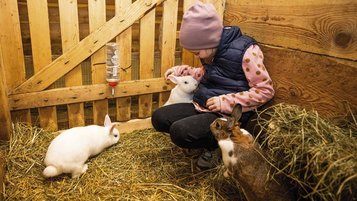 Mädchen streichelt zwei Hasen im Kleintierbereich des Familienhotels Alpenhotel Kindl in Tirol.