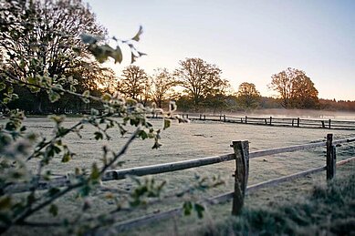 Sonnenaufgang über dem Reitplatz im Landhaus Averbeck in der Lüneburger Heide.