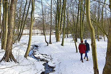 Winterspaziergang durch den Wald am Ems Kanal bei der Koppelschleuse in Meppen.