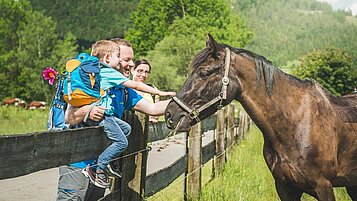 Während einer Wanderung trifft eine Familie auf ein Pferd und füttern dieses mit frischem Gras.