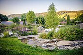 Natursee umgeben von grünen Pflanzen auf der Außenanlage des Familienhotels Schreinerhof.