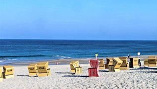 Gelbe und rote Strandkörbe an einem Nordseestrand in Deutschland.