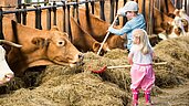 Zwei kleine Kinder helfen beim Füttern der Kühe im Stall des Familienhotels Schreinerhof im Bayerischen Wald, wobei das Mädchen neugierig zuschaut und der Junge Heu mit einem Rechen verteilt.