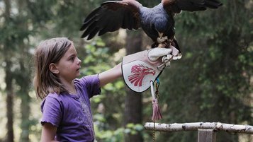 Mädchen hat einen Adler auf dem Arm im Familienurlaub im Familienhotel Tirolerhof