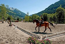 Schöne Freizeitaktivität, Longieren auf dem Pferdehof am Familienhotel Sonngastein in Bad Gastein.