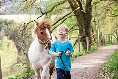 Ein Kind führt ein Pony an einer Leine durch einen Wald.