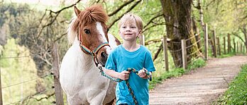 Ein Kind führt ein Pony an einer Leine durch einen Wald.