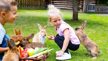 Zwei Kinder sitzen mit einem Gemüsekorb im Hasengehege und füttern die Tiere im Familienhotel Alphotel Tyrol Wellness & Family Resort in Südtirol.