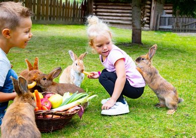 Zwei Kinder sitzen mit einem Gemüsekorb im Hasengehege und füttern die Tiere im Familienhotel Alphotel Tyrol Wellness & Family Resort in Südtirol.