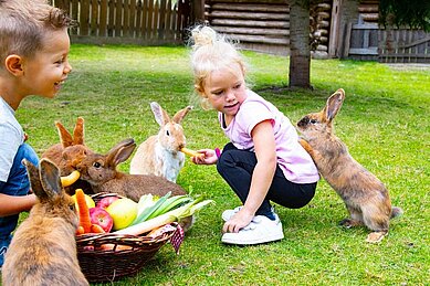 Zwei Kinder sitzen mit einem Gemüsekorb im Hasengehege und füttern die Tiere im Familienhotel Alphotel Tyrol Wellness & Family Resort in Südtirol.