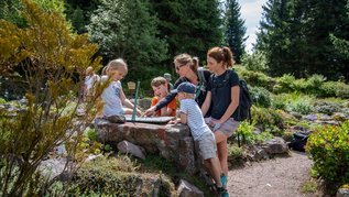 Familie beim Wandern im Thüringer Wald.