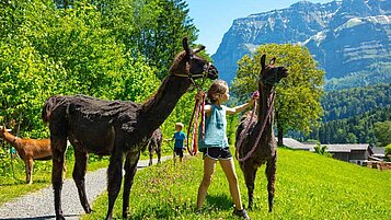 Mädchen bei einer Lamawanderung im Rahmen der Kinderbetreuung des Familienhotels Sonne Bezau im Vorarlberg.