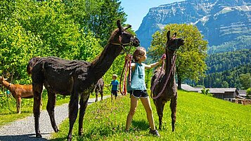 Mädchen bei einer Lamawanderung im Rahmen der Kinderbetreuung des Familienhotels Sonne Bezau im Vorarlberg.