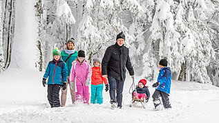 Große Familie beim Schlittenfahren im Schwarzwald.