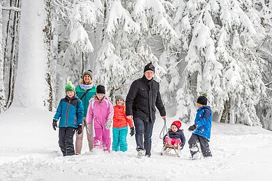 Große Familie beim Schlittenfahren im Schwarzwald.