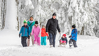 Große Familie beim Schlittenfahren im Schwarzwald.