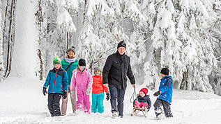 Große Familie beim Schlittenfahren im Schwarzwald.