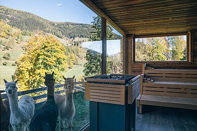 Sauna mit großen Fenstern im Familienhotel Kirchheimerhof in Kärnten. Vor den Fenstern stehen Alpakas.