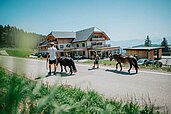 Vater und Sohn beim Ponyspaziergang rund um das Familien Resort Petschnighof