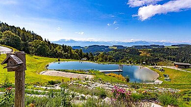 Luftaufnahme im Sommer vom Familienhotel Familien Resort Petschnighof in Kärnten.