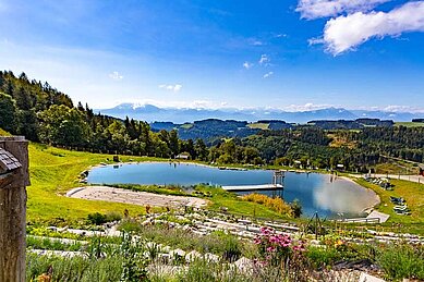 Luftaufnahme im Sommer vom Familienhotel Familien Resort Petschnighof in Kärnten.