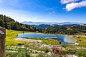 Luftaufnahme im Sommer vom Familienhotel Familien Resort Petschnighof in Kärnten.