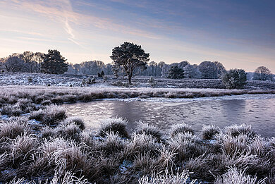 Ein atemberaubender See im Winter: landschaftlich spielt die Lüneburger Heide keinem etwas vor.