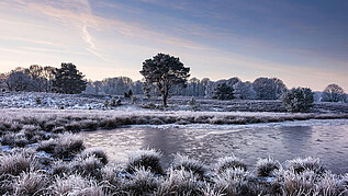 Ein atemberaubender See im Winter: landschaftlich spielt die Lüneburger Heide keinem etwas vor.